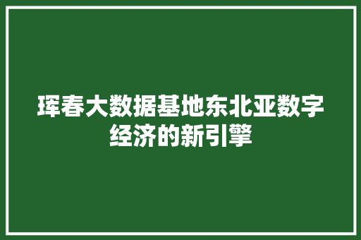 珲春大数据基地东北亚数字经济的新引擎