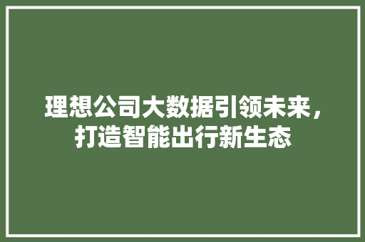 理想公司大数据引领未来，打造智能出行新生态