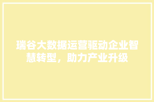 瑞谷大数据运营驱动企业智慧转型,助力产业升级 瑞谷大数据运营驱动企业智慧转型,助力产业升级