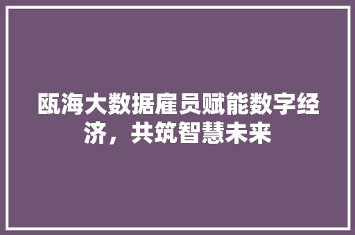 瓯海大数据雇员赋能数字经济，共筑智慧未来