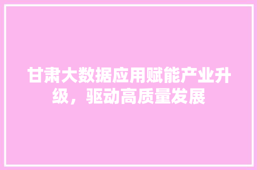 甘肃大数据应用赋能产业升级，驱动高质量发展