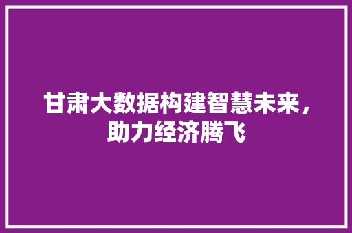 甘肃大数据构建智慧未来，助力经济腾飞