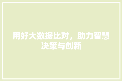 用好大数据比对，助力智慧决策与创新