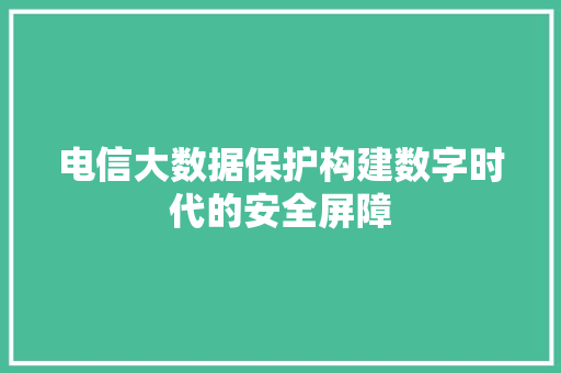 电信大数据保护构建数字时代的安全屏障