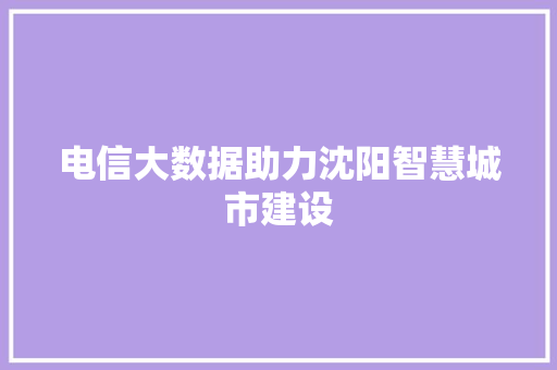 电信大数据助力沈阳智慧城市建设