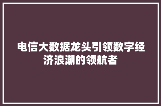 电信大数据龙头引领数字经济浪潮的领航者