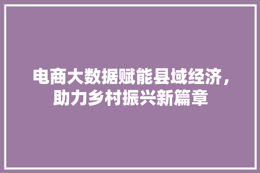 电商大数据赋能县域经济，助力乡村振兴新篇章