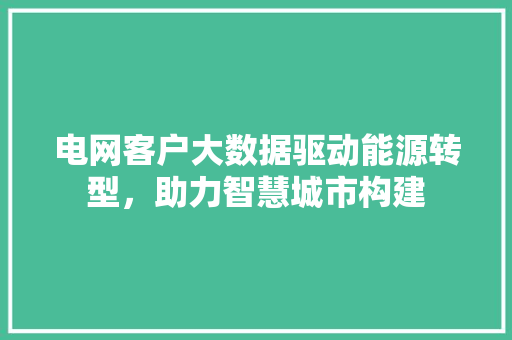 电网客户大数据驱动能源转型,助力智慧城市构建 电网客户大数据驱动能源转型,助力智慧城市构建