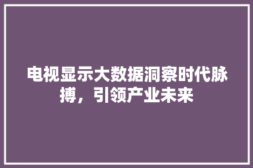 电视显示大数据洞察时代脉搏，引领产业未来
