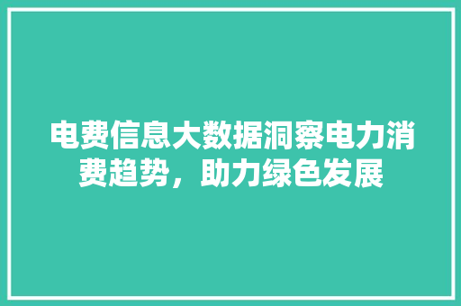电费信息大数据洞察电力消费趋势，助力绿色发展
