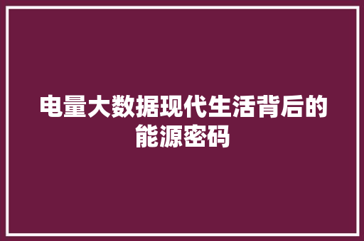 电量大数据现代生活背后的能源密码