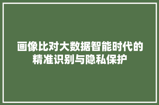 画像比对大数据智能时代的精准识别与隐私保护