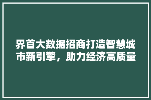 界首大数据招商打造智慧城市新引擎，助力经济高质量发展