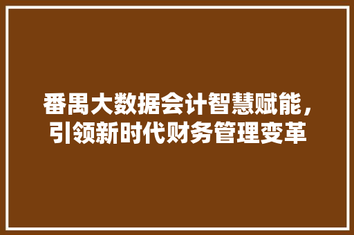 番禺大数据会计智慧赋能，引领新时代财务管理变革