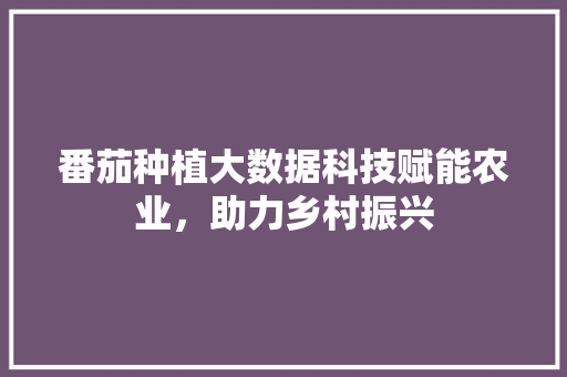 番茄种植大数据科技赋能农业，助力乡村振兴
