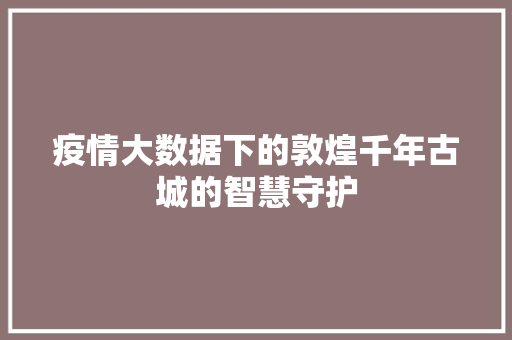 疫情大数据下的敦煌千年古城的智慧守护