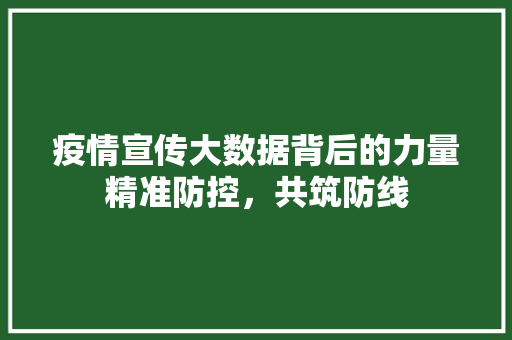 疫情宣传大数据背后的力量精准防控，共筑防线