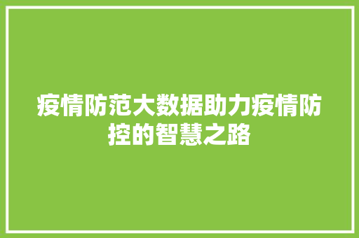 疫情防范大数据助力疫情防控的智慧之路