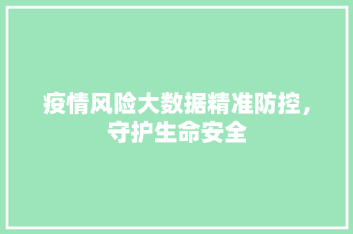 疫情风险大数据精准防控，守护生命安全