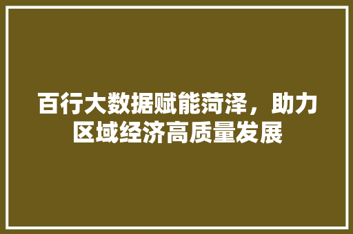 百行大数据赋能菏泽,助力区域经济高质量发展 百行大数据赋能菏泽,助力区域经济高质量发展