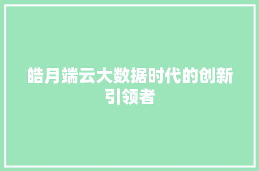 皓月端云大数据时代的创新引领者 皓月端云大数据时代的创新引领者