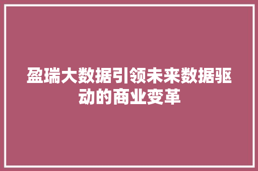 盈瑞大数据引领未来数据驱动的商业变革