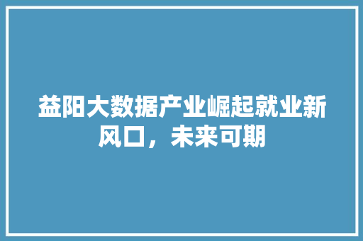 益阳大数据产业崛起就业新风口,未来可期 益阳大数据产业崛起就业新风口,未来可期