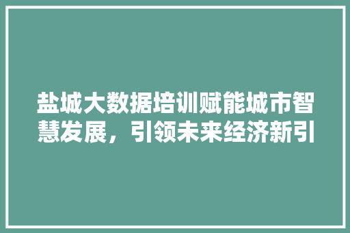 盐城大数据培训赋能城市智慧发展,引领未来经济新引擎 盐城大数据培训赋能城市智慧发展,引领未来经济新引擎