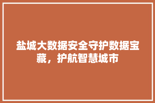 盐城大数据安全守护数据宝藏,护航智慧城市 盐城大数据安全守护数据宝藏,护航智慧城市
