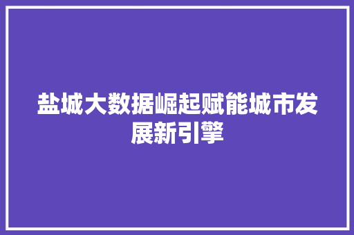 盐城大数据崛起赋能城市发展新引擎 盐城大数据崛起赋能城市发展新引擎