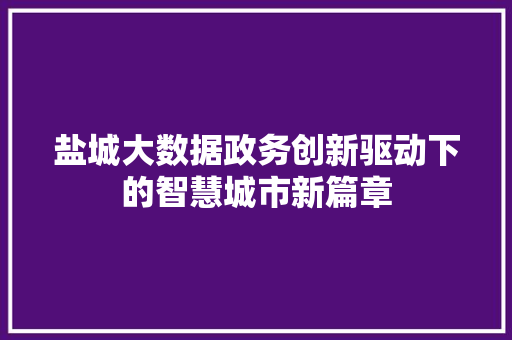 盐城大数据政务创新驱动下的智慧城市新篇章 盐城大数据政务创新驱动下的智慧城市新篇章