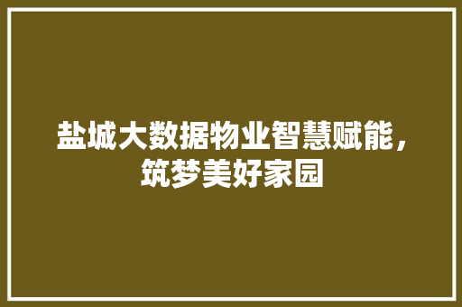 盐城大数据物业智慧赋能，筑梦美好家园