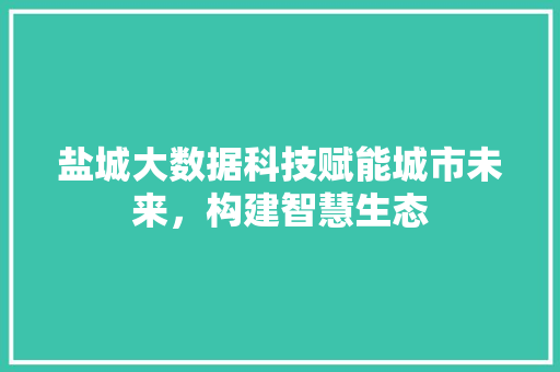 盐城大数据科技赋能城市未来，构建智慧生态