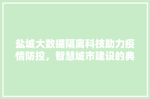 盐城大数据隔离科技助力疫情防控，智慧城市建设的典范