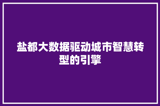 盐都大数据驱动城市智慧转型的引擎