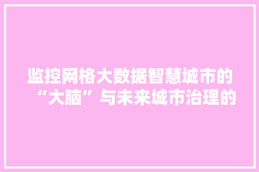 监控网格大数据智慧城市的“大脑”与未来城市治理的利器 监控网格大数据智慧城市的“大脑”与未来城市治理的利器
