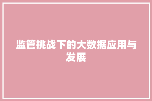 监管挑战下的大数据应用与发展