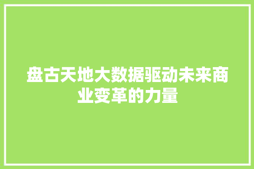 盘古天地大数据驱动未来商业变革的力量