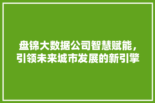 盘锦大数据公司智慧赋能，引领未来城市发展的新引擎