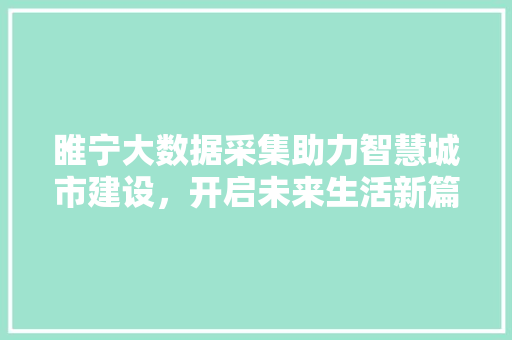 睢宁大数据采集助力智慧城市建设，开启未来生活新篇章