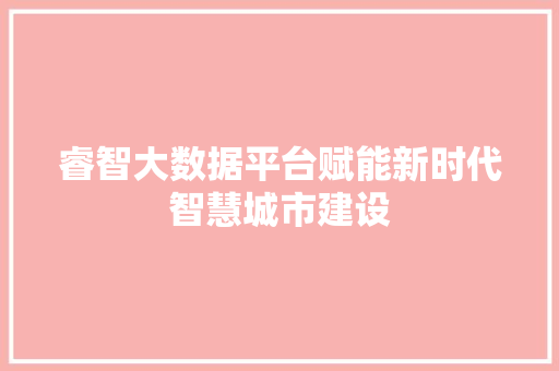 睿智大数据平台赋能新时代智慧城市建设