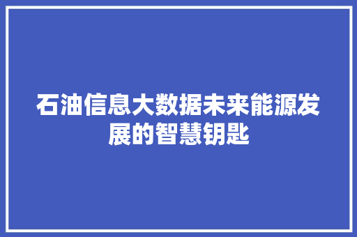 石油信息大数据未来能源发展的智慧钥匙