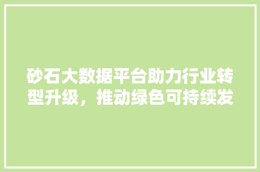 砂石大数据平台助力行业转型升级，推动绿色可持续发展
