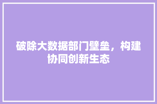 破除大数据部门壁垒，构建协同创新生态