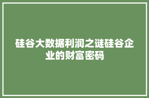 硅谷大数据利润之谜硅谷企业的财富密码