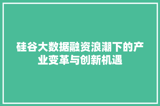 硅谷大数据融资浪潮下的产业变革与创新机遇