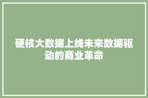 硬核大数据上线未来数据驱动的商业革命