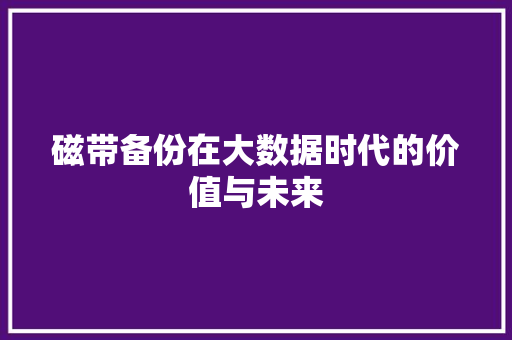 磁带备份在大数据时代的价值与未来