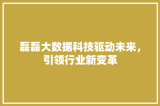 磊磊大数据科技驱动未来，引领行业新变革