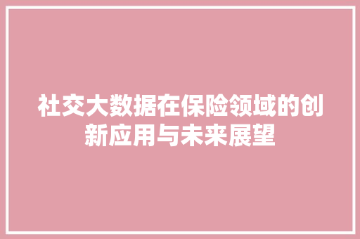 社交大数据在保险领域的创新应用与未来展望